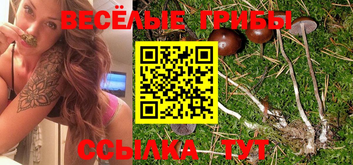 Псилоцибиновые грибы ЛСД Костомукша