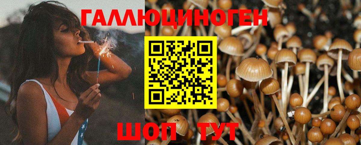 Костомукша  Галлюциногенные грибы Magic Shrooms  цены наркотик  Псилоцибиновые грибы Psilocybine cubensis  Вход с VPN 